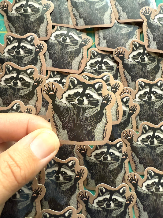 Happy Racoon